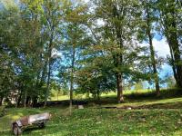 20250927_151856 (1024x768).jpg